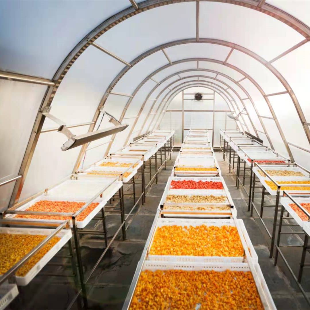 Fruit and Vegetable drying - IPCO