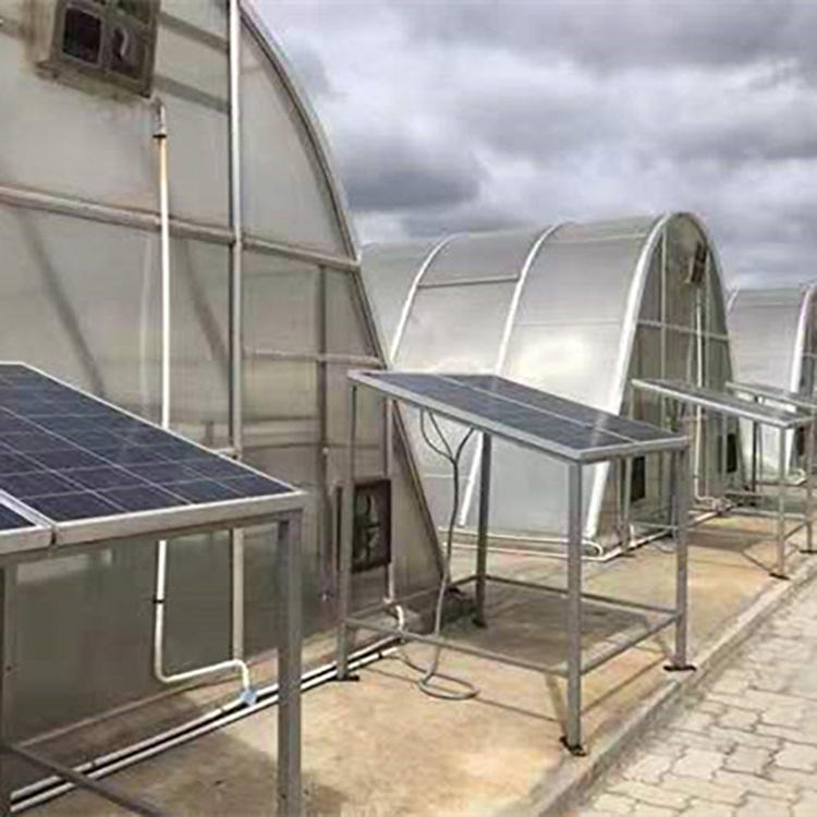 Solar Electric Dryer for Fruits and Vegetables