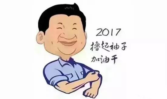 2017撸起袖子加油干