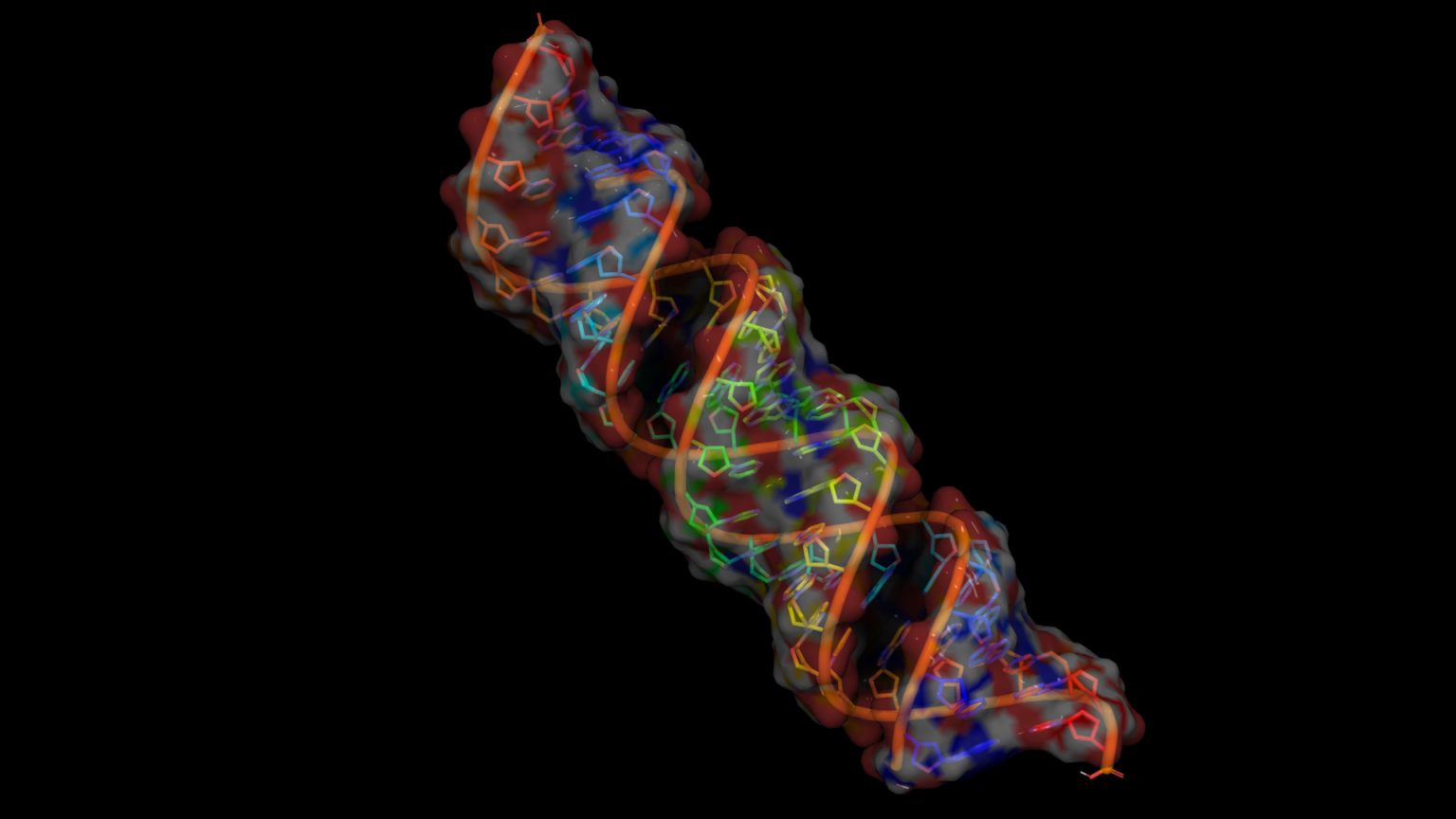 PyMOL 绘制带有透明表面的 DNA 结构