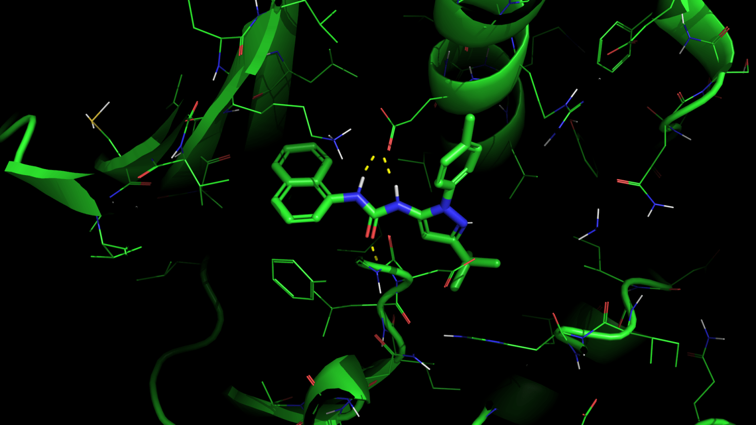 PyMOL 绘制 p38 蛋白结合结构