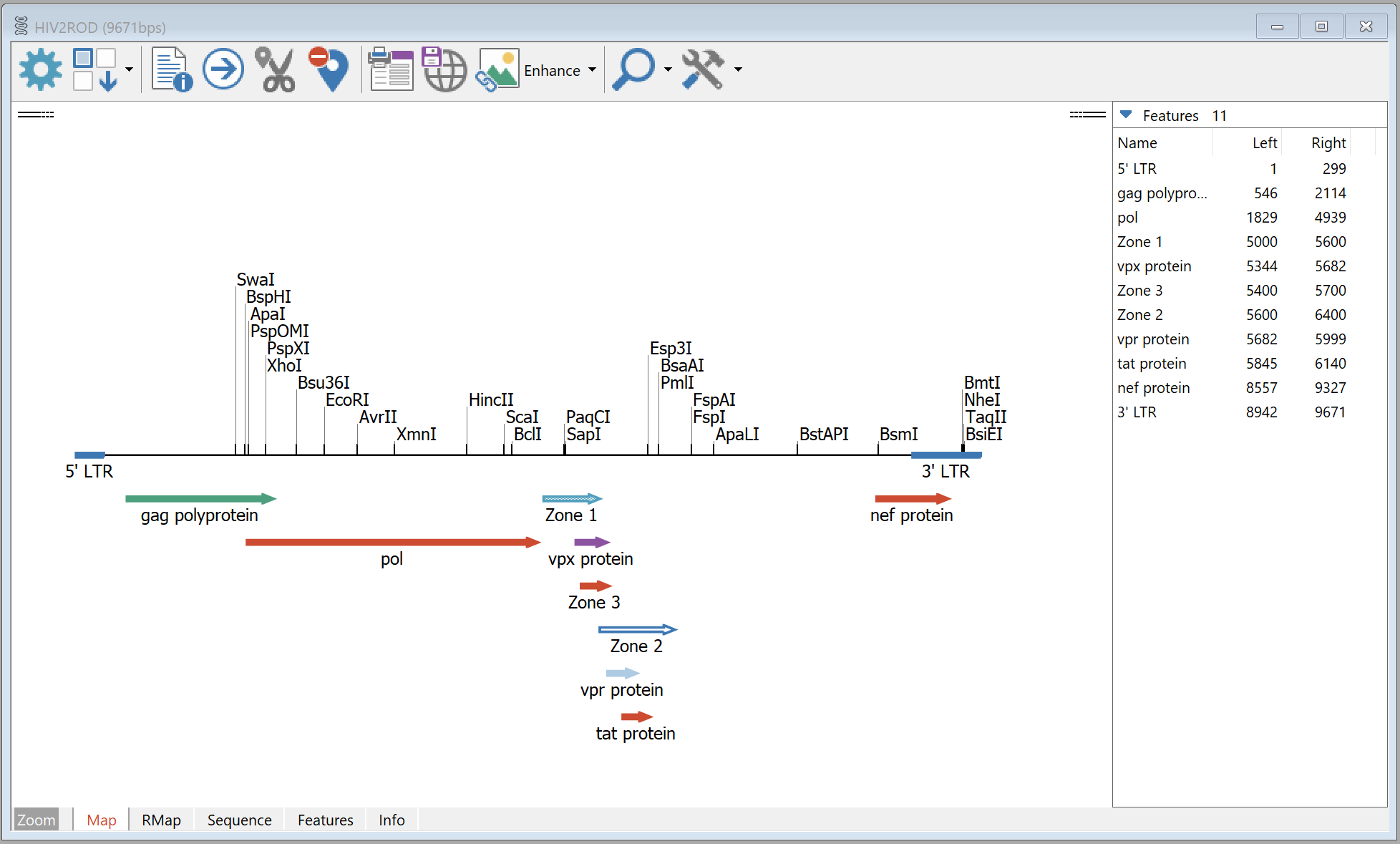 Clone Manager 12 分子图谱查看界面