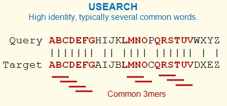USEARCH 种子序列搜索过程示意图