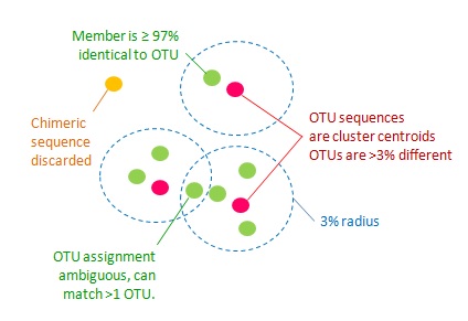 UPARSE OTU 分析流程示意图