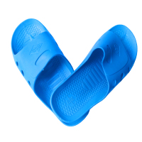 esdslipper4