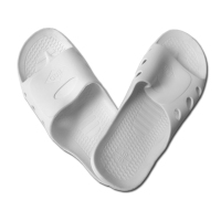esdslipper5