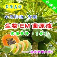木瓜种植专用-生物EM菌原液