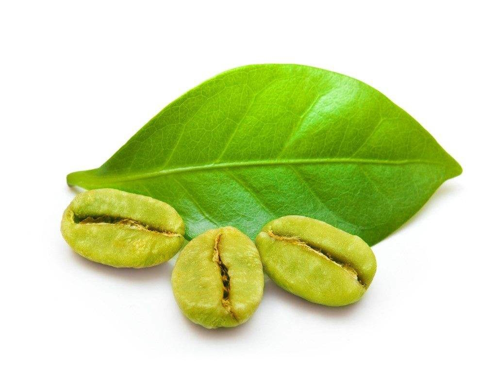 绿咖啡豆提取物6