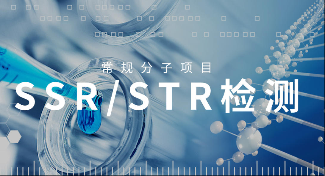 ssr检测技术