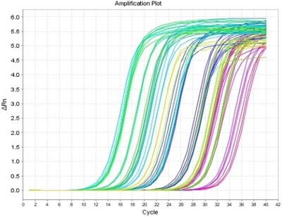 qPCR