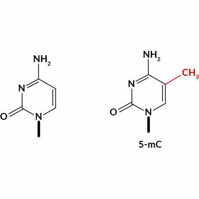jia1.1f71ac7