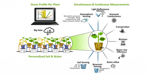 LK- PEPP高通量植物生理生态表型平台