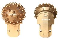 C169FoundationRollerCones-ReplaceableType