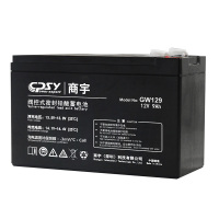 GW12蓄电池-2