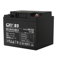 GWJ12蓄电池-4