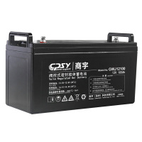 GWJ12蓄电池-1