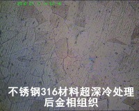 超深冷处理500倍金相照片2
