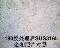 超深冷处理500倍金相照片2