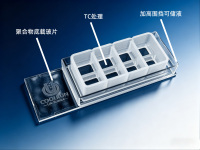 可移除腔室聚合物底载玻片-硅胶产品图2