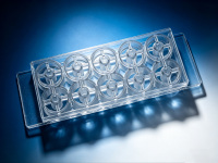 2D3D细胞侵袭载玻片CR216-10产品图2