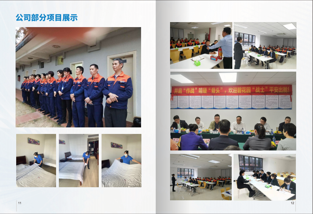 公司部分项目展示