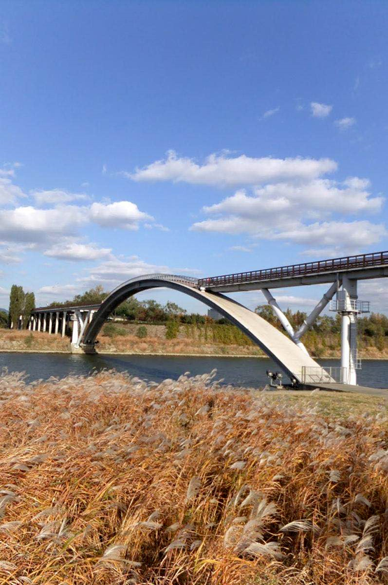 清水混凝土保护剂在桥梁中的应用