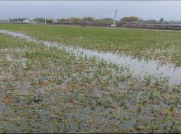 e54f6515093bba92dd4b5f99c736494e