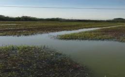 ef659612b77b2691ab176407a8d24ae5