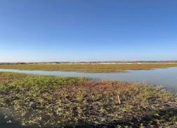 79709def0d206e48a219c4ad4d14f225