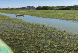 c088c7bc4e9d3260a9664d93ffb4c037