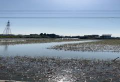 40d1ef99b48b3d5a56fe3f31bda218a5