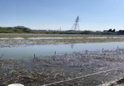 6241c38b618c4f164fea9a23e9e58a6f