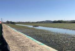 5acdca3ab9f938faad984c4d142f003e