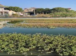 微信图片_20251122113414_18_5