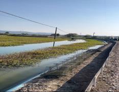 微信图片_20251122113415_19_5