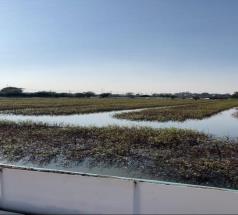 微信图片_20251122113416_20_5