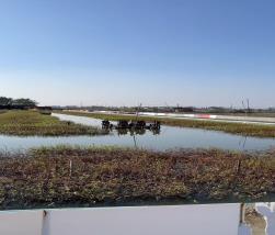 微信图片_20251122113417_21_5