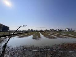 微信图片_20251122113253_7_5