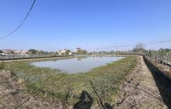 微信图片_20251122113254_8_5