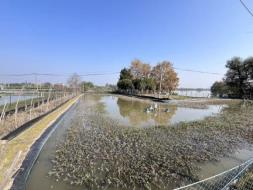 微信图片_20251122113256_9_5