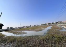 微信图片_20251122113258_11_5