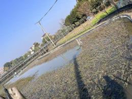 微信图片_20251122113259_12_5