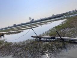 微信图片_20251122113300_13_5