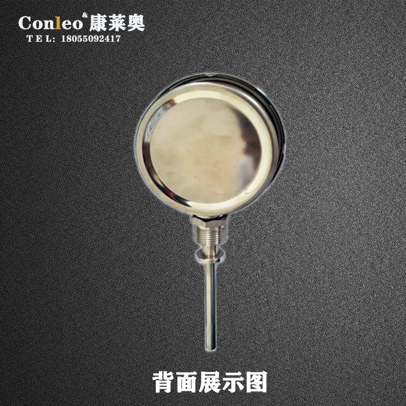 不锈钢五代温度表背面图