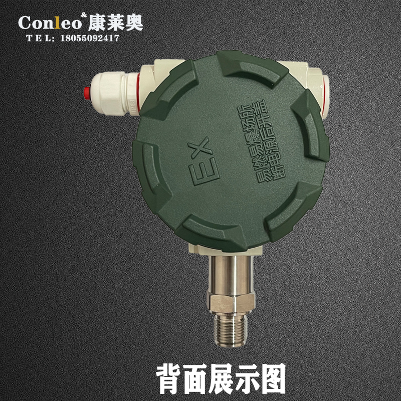 防爆精密数字压力表背面