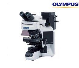 奥林巴斯BX53生物荧光显微镜