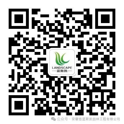 蓝斯凯公众号二维码.jpg 蓝斯凯公众号二维码.jpg