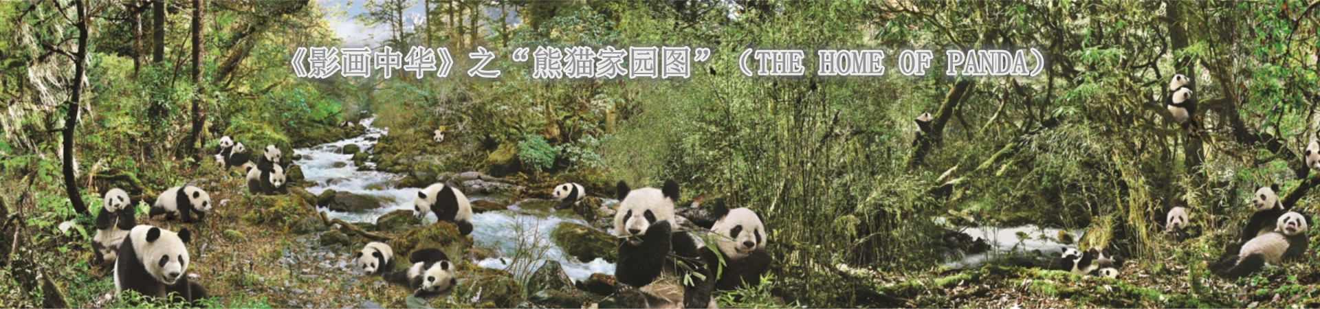 网站首页图-熊猫1