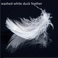 Factory-Price-2-4cm-Washed-Duck-Feather-for-Sale.webp-1