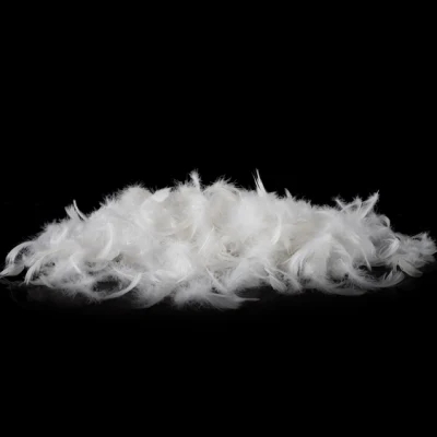 Factory-Price-2-4cm-Washed-Duck-Feather-for-Sale.webp
